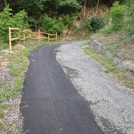Nido Del Picchio